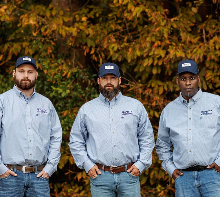 Pest Library Lufkin Pest Control