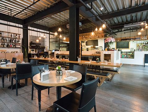 Commercial Pest Control